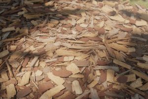 sol recouvert d'une couche de broyat de bois